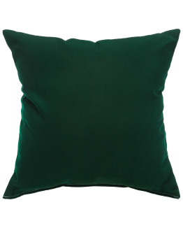 Sunbrella 18"x18" Square Throw Pillow - Canvas Forest Green