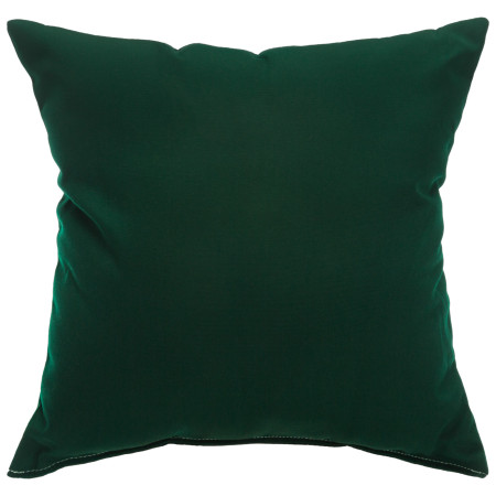 Sunbrella 18"x18" Square Throw Pillow - Canvas Forest Green