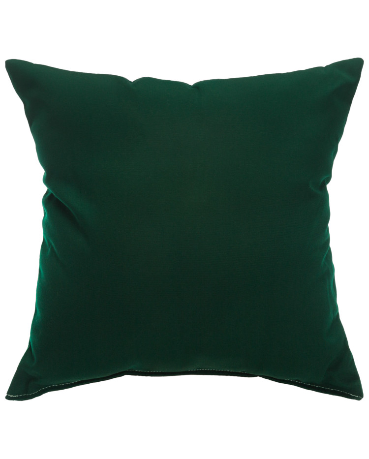 Sunbrella 24"x24" Square Throw Pillow - Canvas Forest Green
