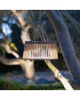 MUSE Solar Outdoor Light 