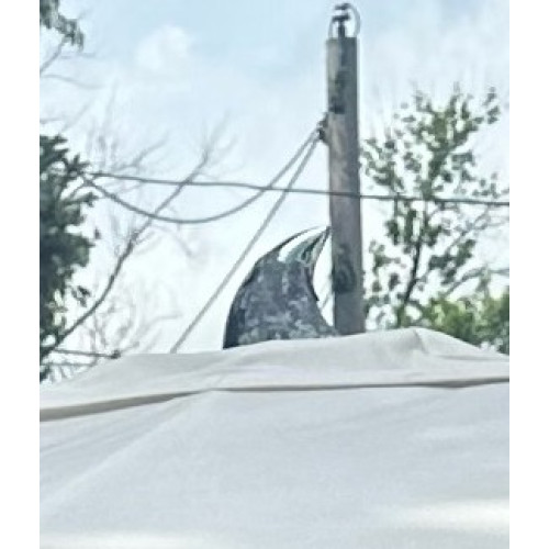 Ocean Master Max SAIL Finial